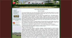 Desktop Screenshot of eszakalfold.agrya.hu